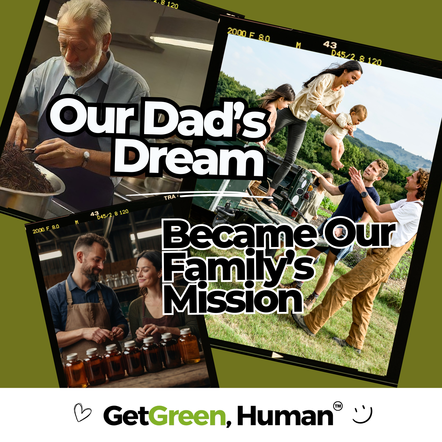 Pumpkin Seed Tincture | Gut, Bladder & Hormone Support