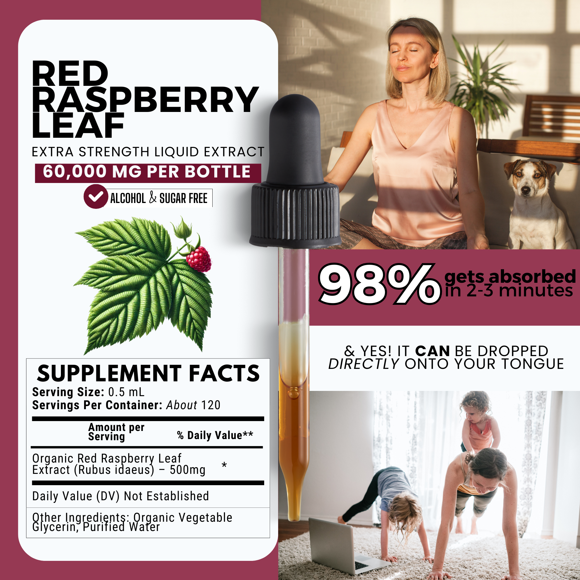 Red Raspberry Leaf Tincture | Women’s Hormonal & Reproductive Support