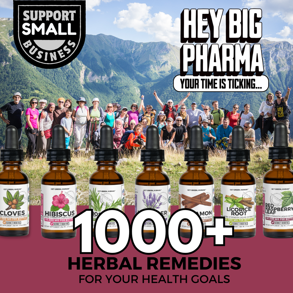 Red Raspberry Leaf Tincture | Women’s Hormonal & Reproductive Support