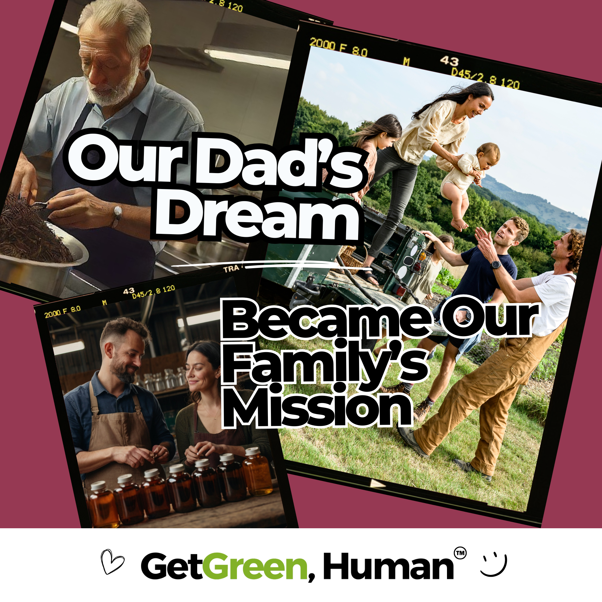 Red Raspberry Leaf Tincture | Women’s Hormonal & Reproductive Support