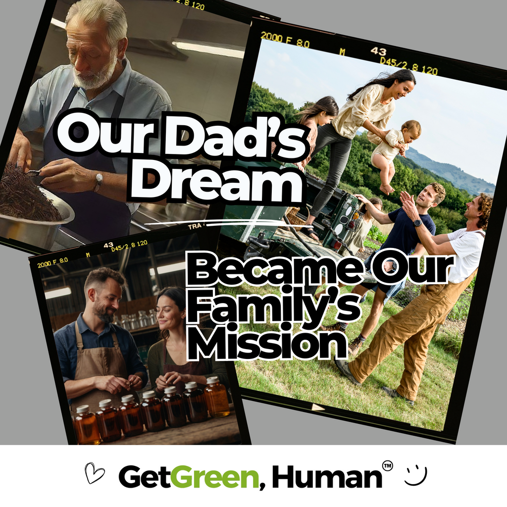 Saw Palmetto Berry Tincture | Prostate, Hormone & Urinary Support