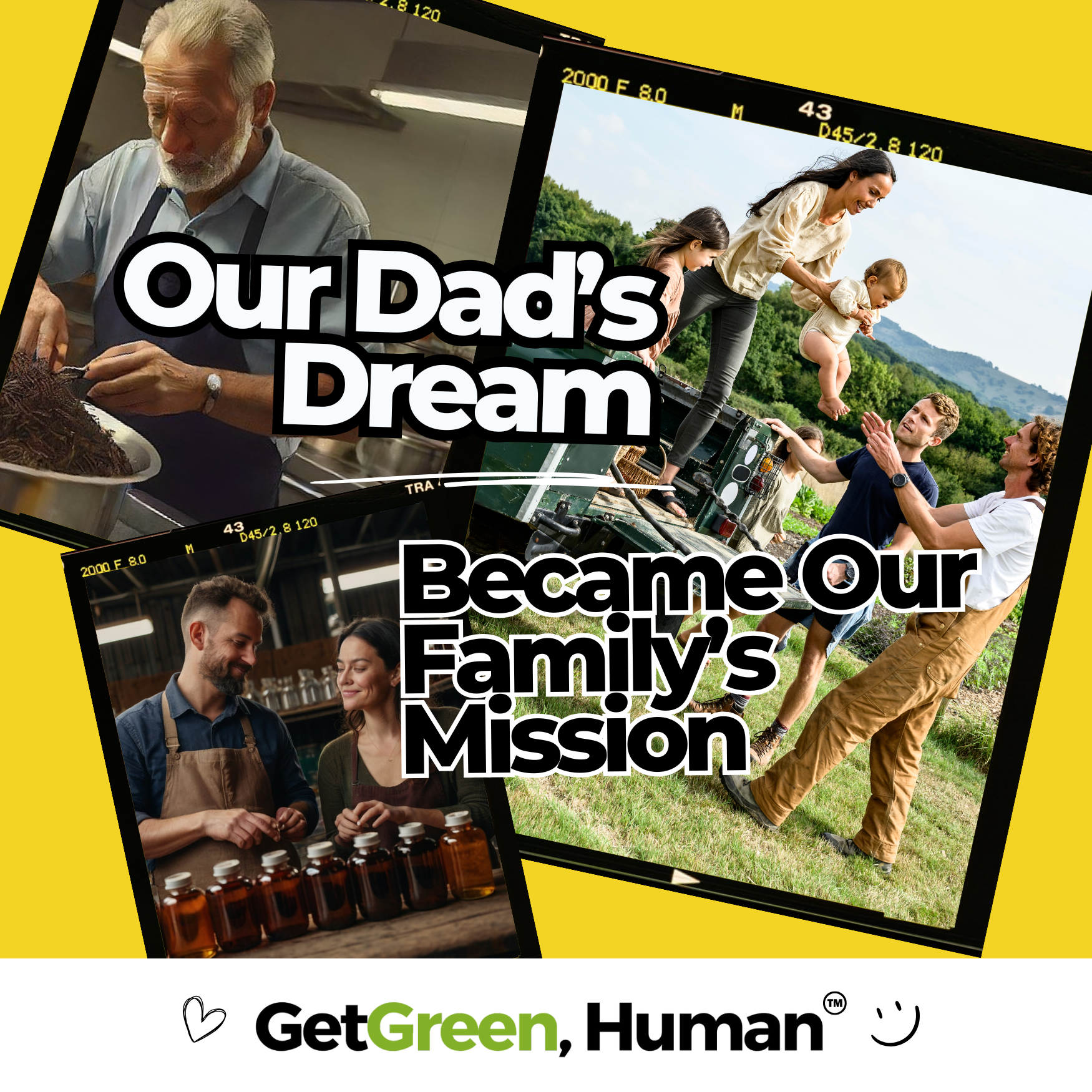 St. John’s Wort Tincture | Mood, Nervous System & Emotional Balance