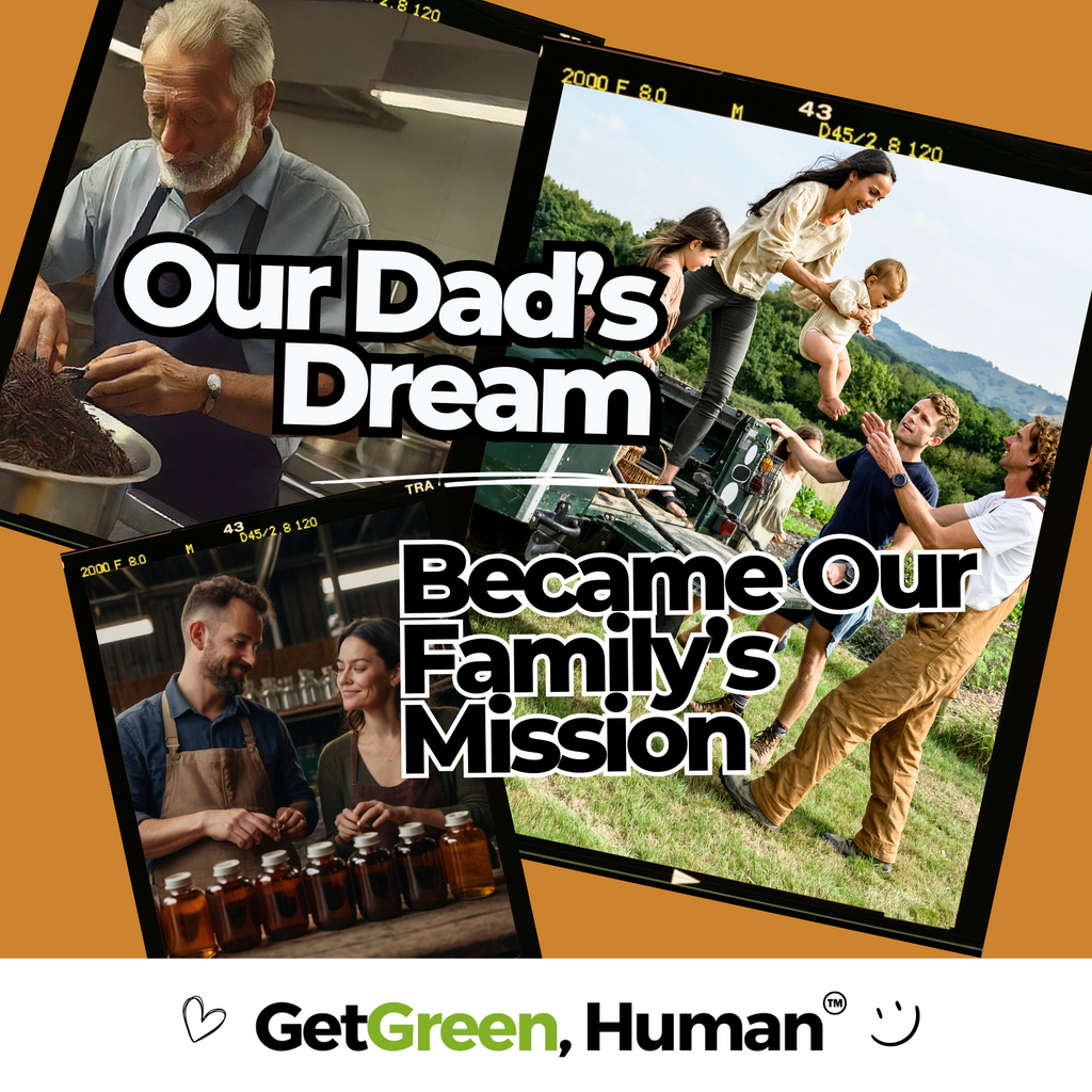 Turmeric Tincture | Inflammation, Joint & Immune Support