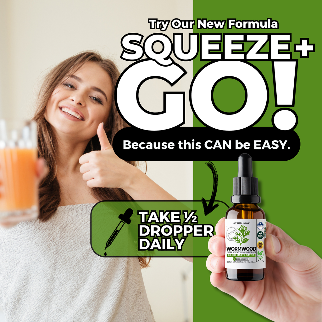 Wormwood Tincture | Digestive & Detox Support