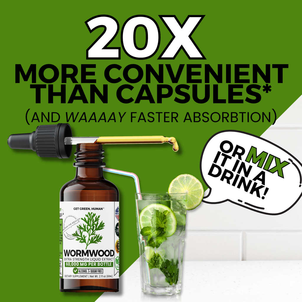Wormwood Tincture | Digestive & Detox Support