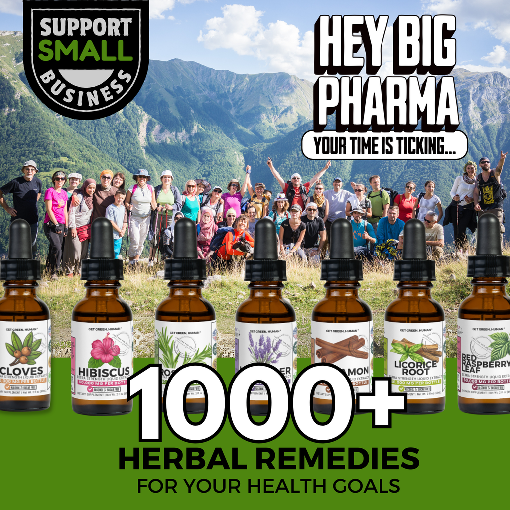 Wormwood Tincture | Digestive & Detox Support