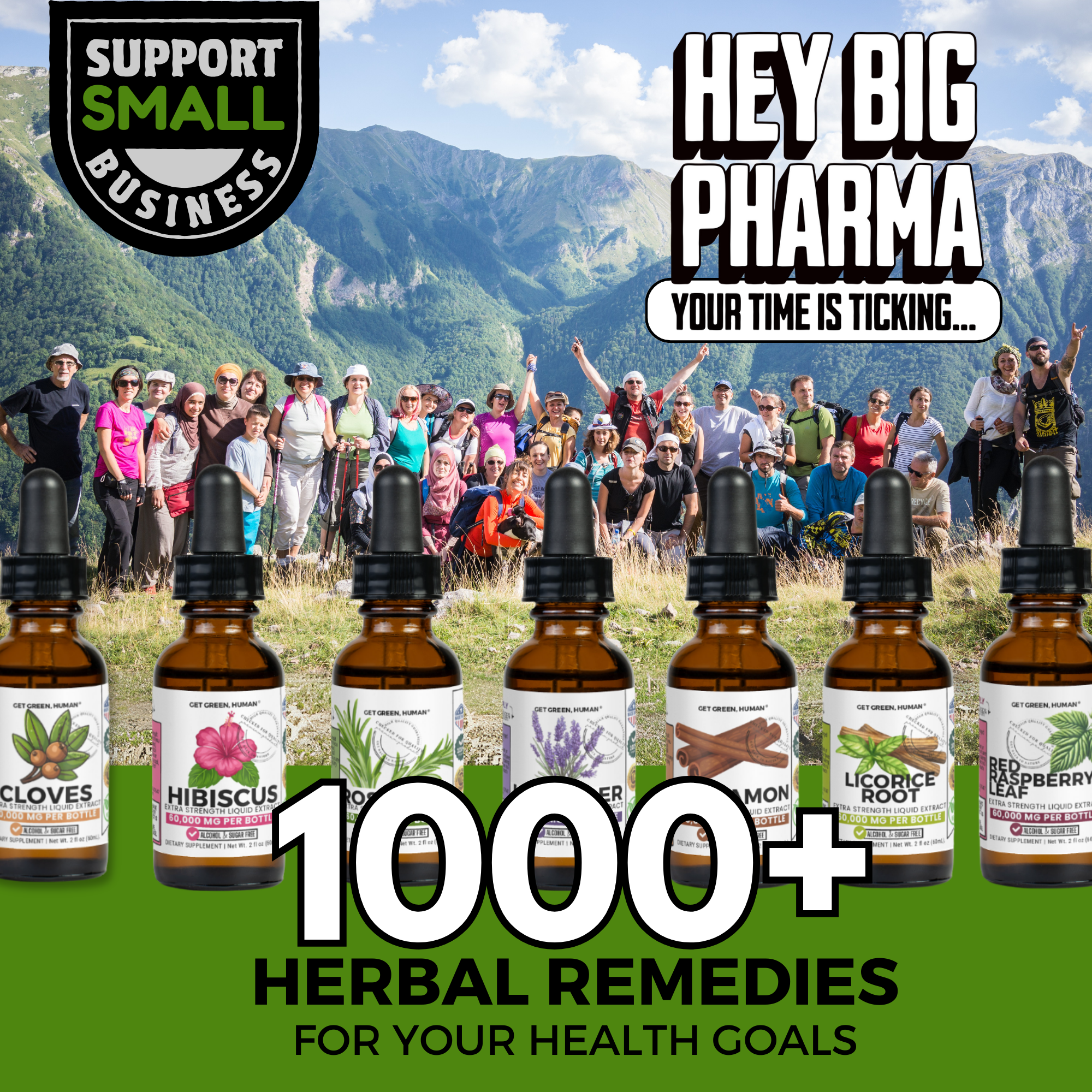 Wormwood Tincture | Digestive & Detox Support