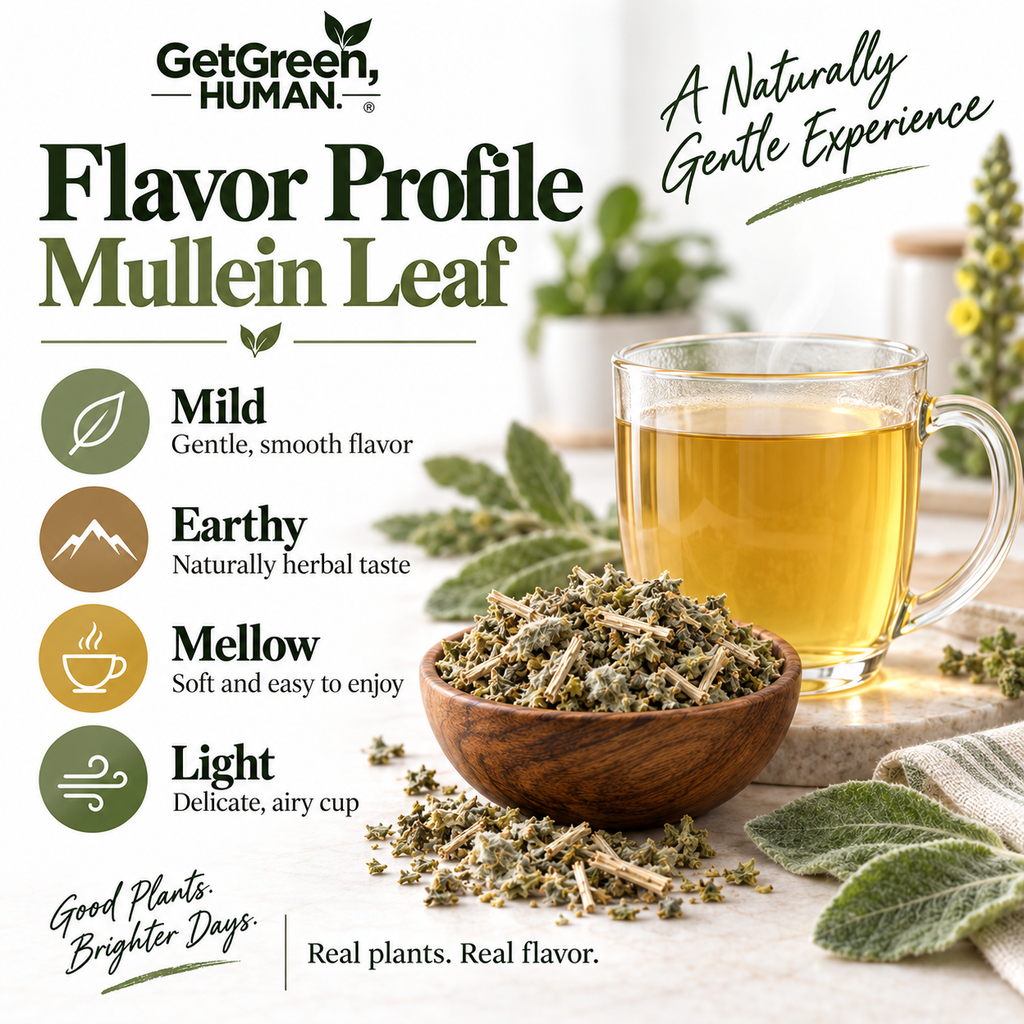 Mullein Leaf Single Herb