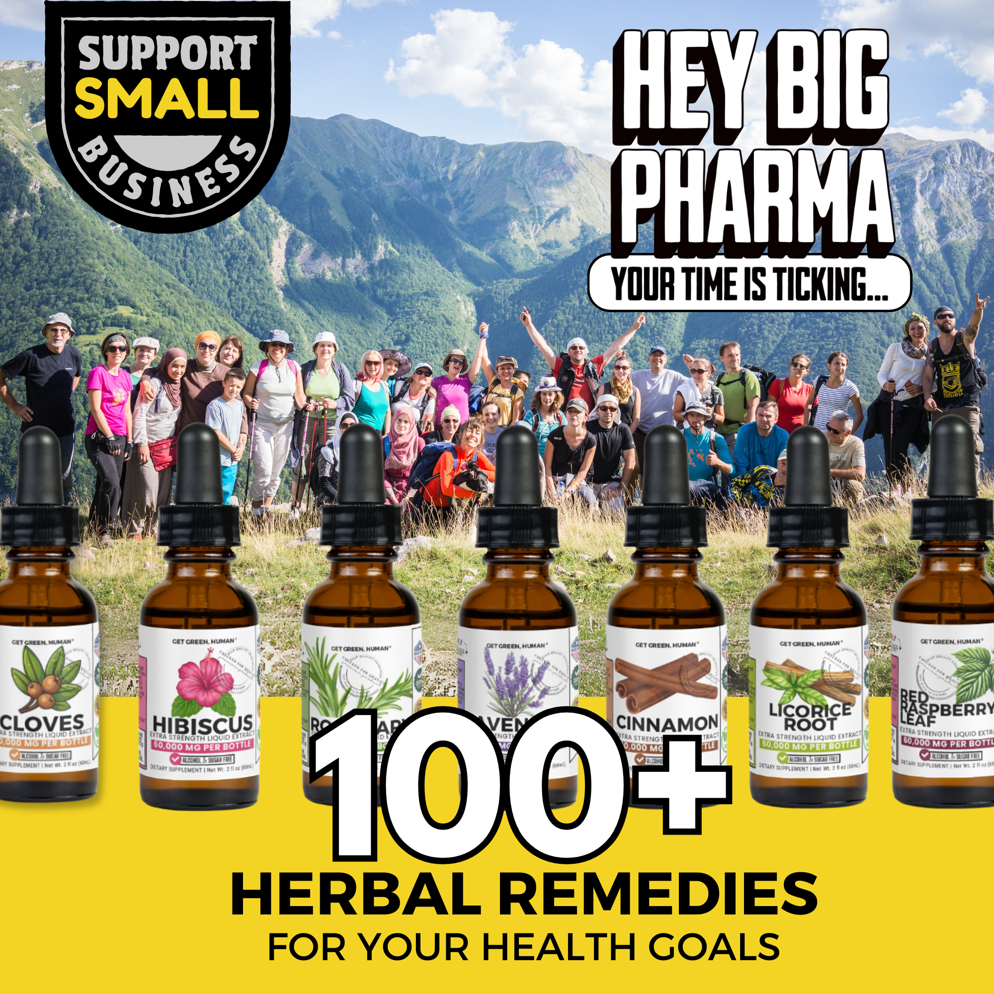 Mullein Leaf Tincture | Lung & Respiratory Support