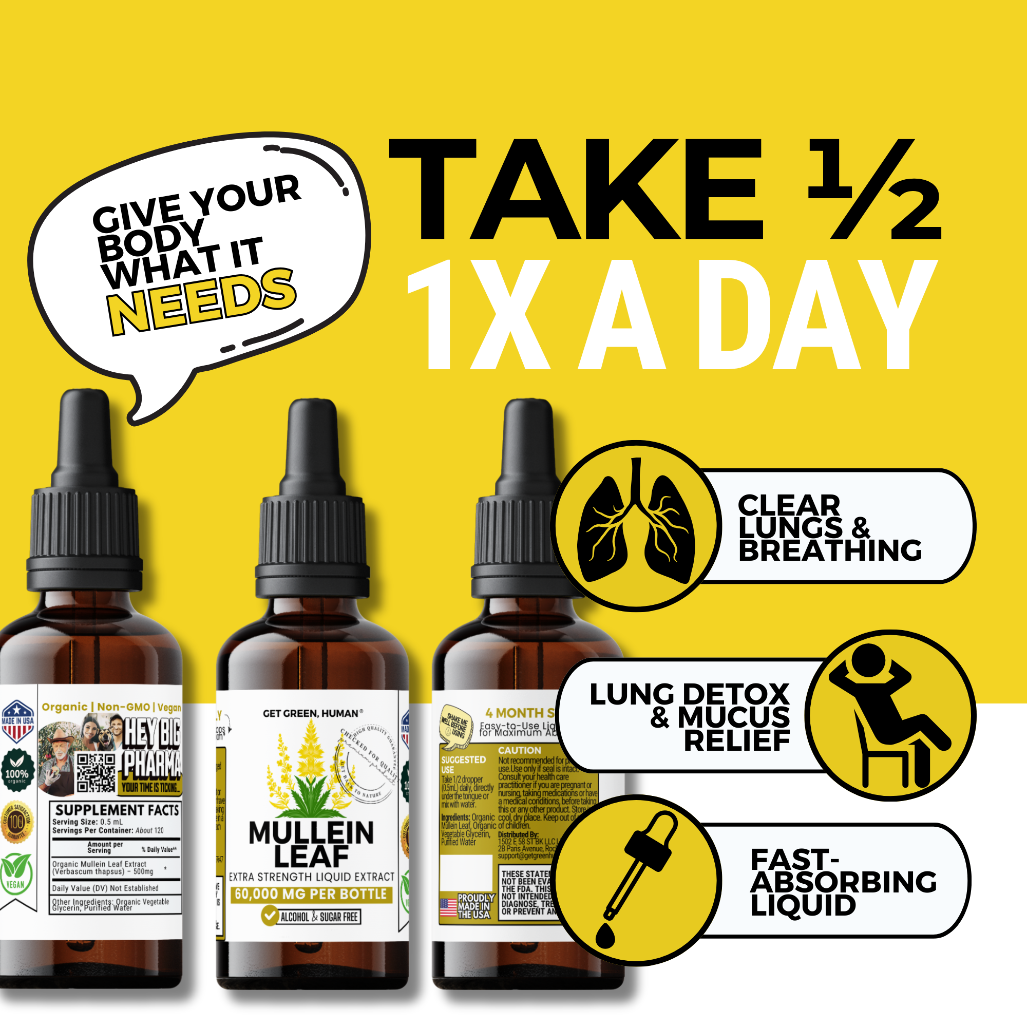 Mullein Leaf Tincture | Lung & Respiratory Support