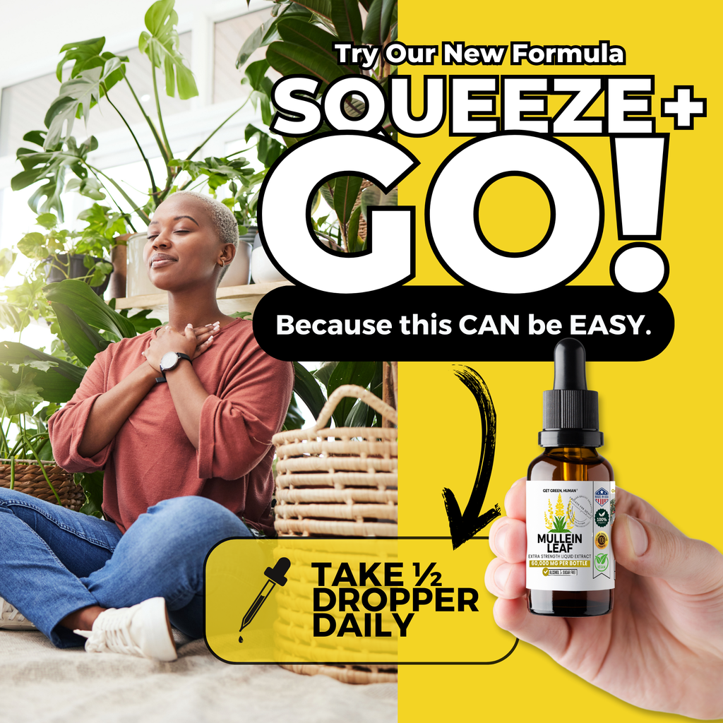 Mullein Leaf Tincture | Lung & Respiratory Support