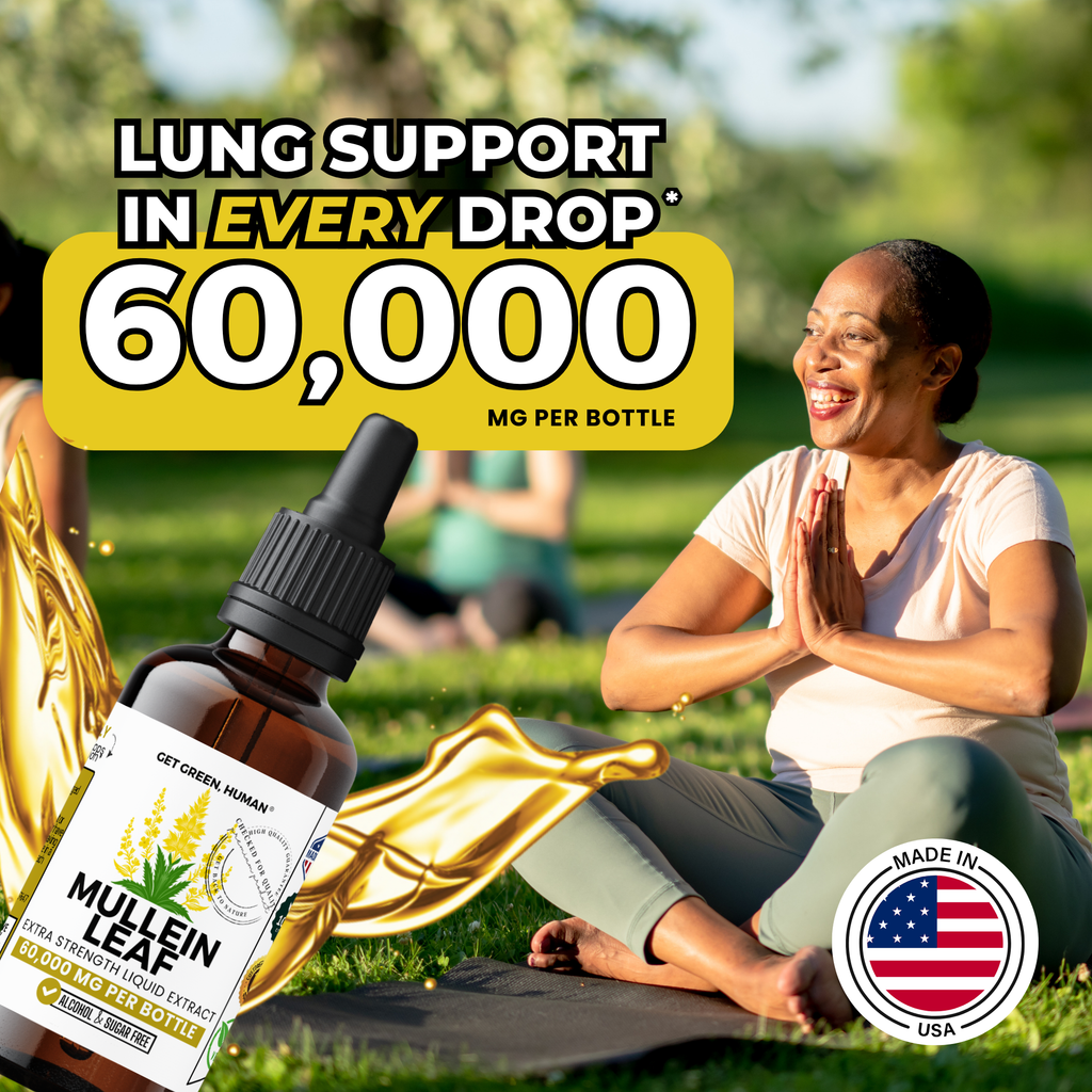 Mullein Leaf Tincture | Lung & Respiratory Support