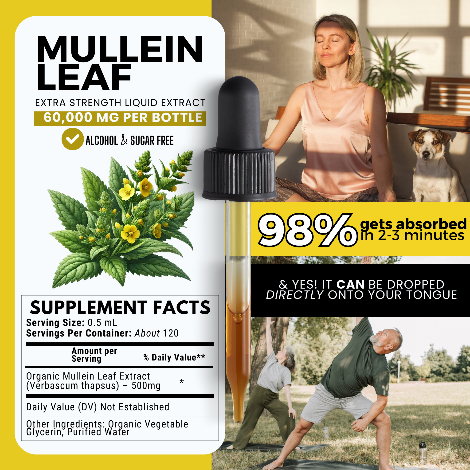 Mullein Leaf Tincture | Lung & Respiratory Support